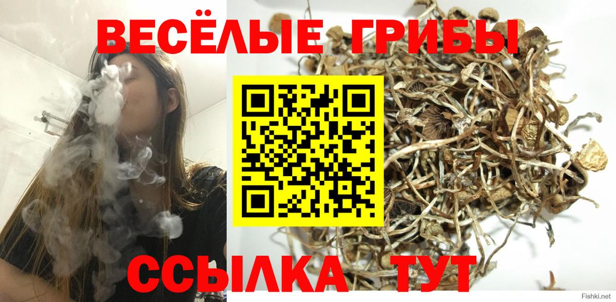 Псилоцибиновые грибы мицелий  Псилоцибиновые грибы мухоморы  Туапсе  Вход с VPN 